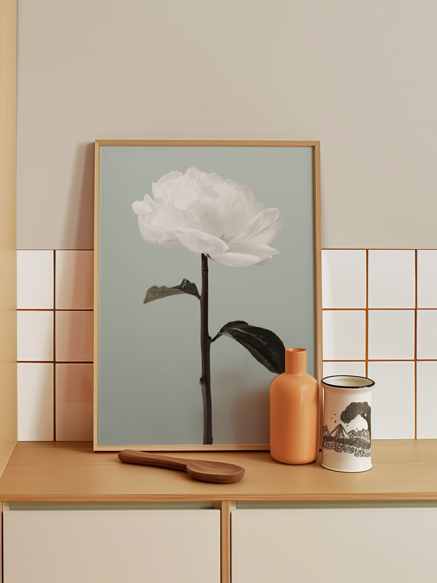 Peony 16