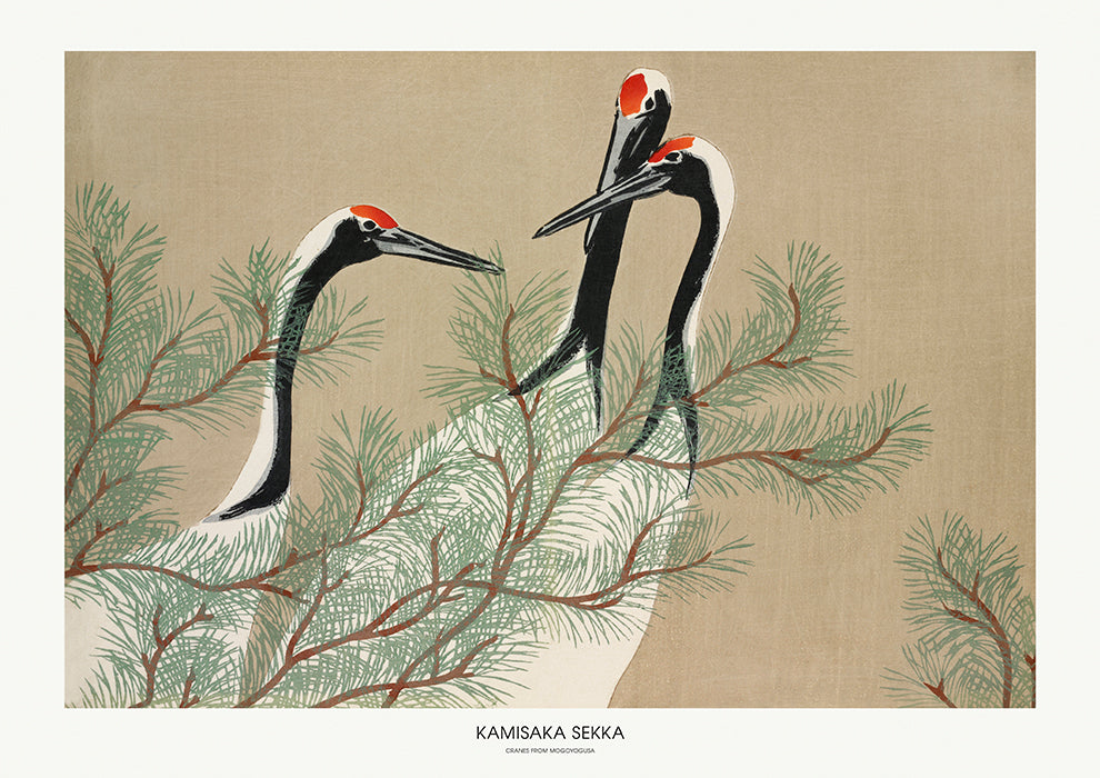 Cranes From Momoyogusa