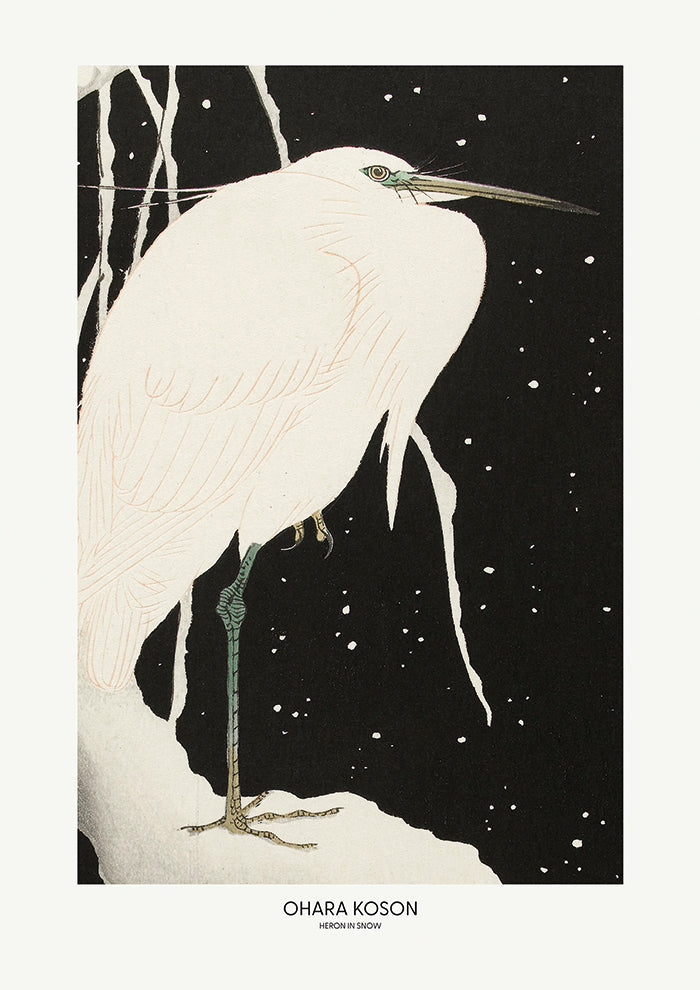Heron In The Snow