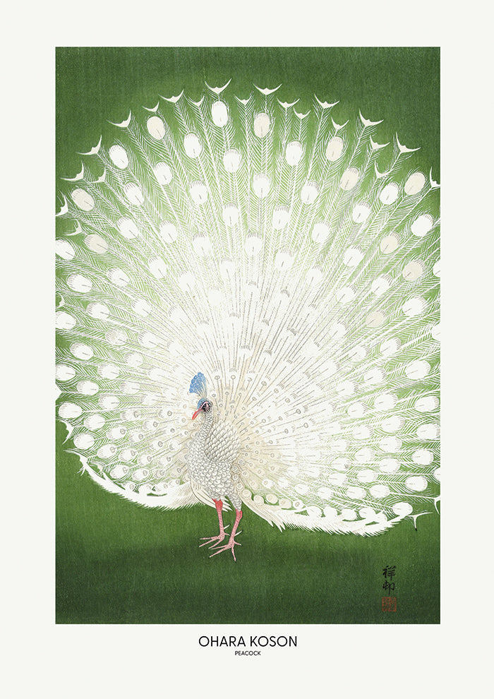 Peacock Cropped