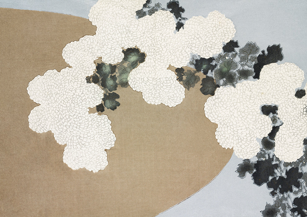 Blossom From Momoyogusa