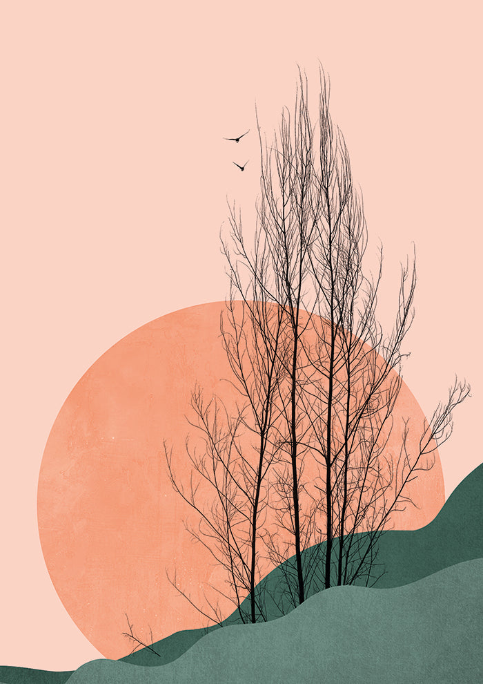 Sunset Memories