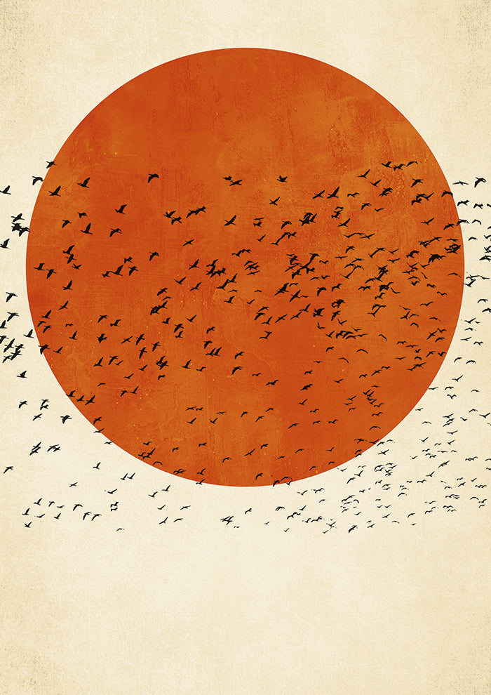 Birds In the Sun