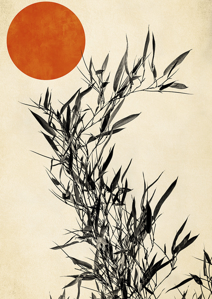 Japanese Birch