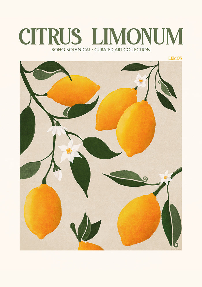Citrus Limonum - Lemon