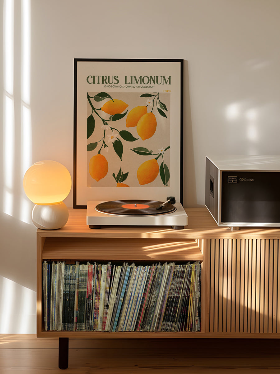 Citrus Limonum - Lemon