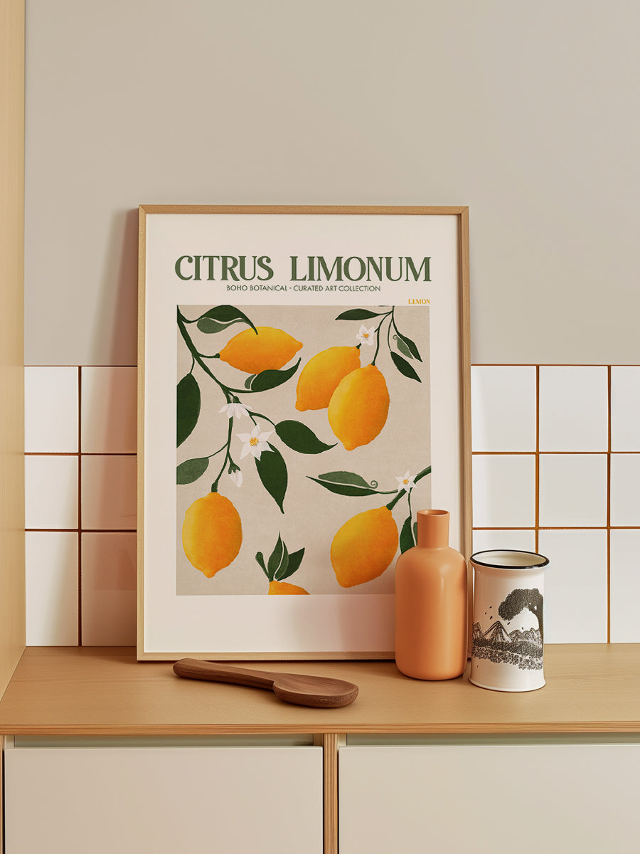 Citrus Limonum - Lemon
