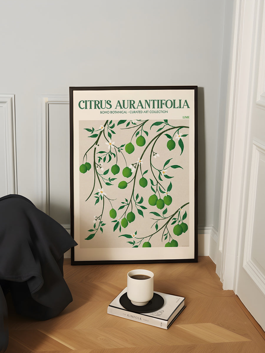 Citrus Aurantifolia Lime