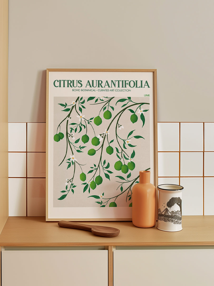 Citrus Aurantifolia Lime