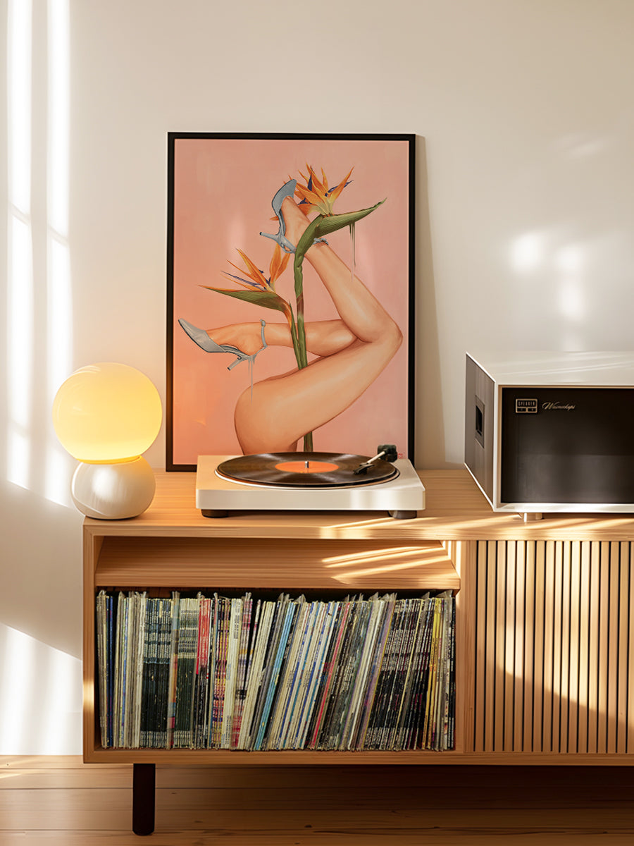 Bird of Paradise