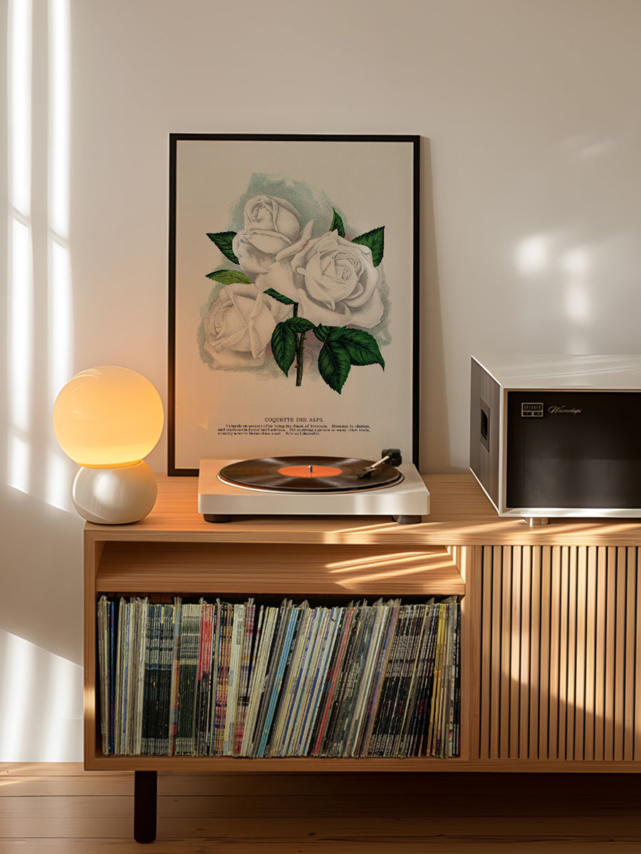 White Rose Lithograph