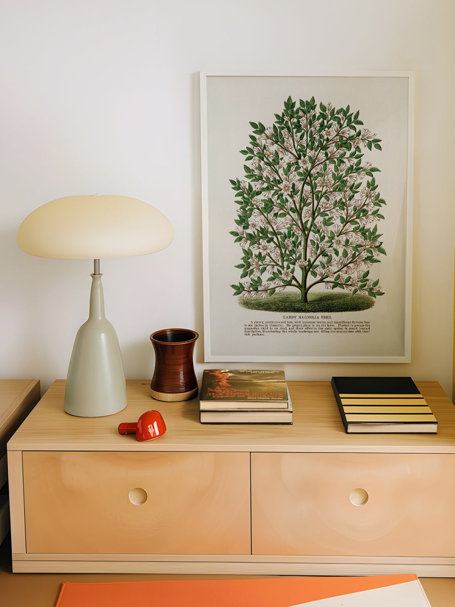 Hardy Magnolia Tree