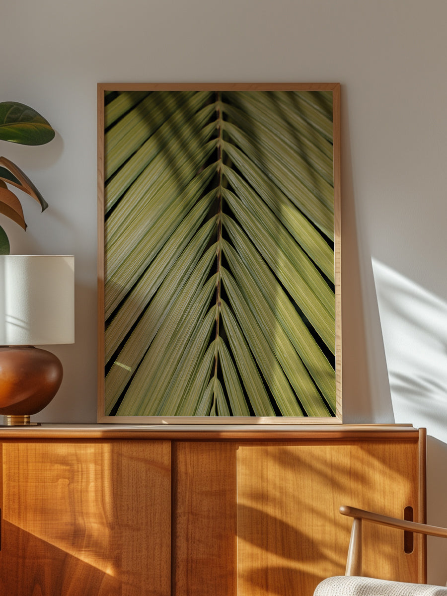 Tropical Leaf