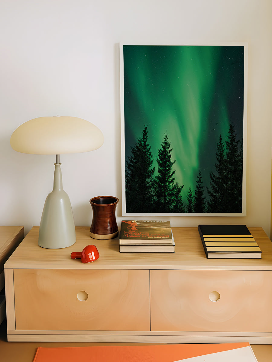 Northern Lights in the Woods