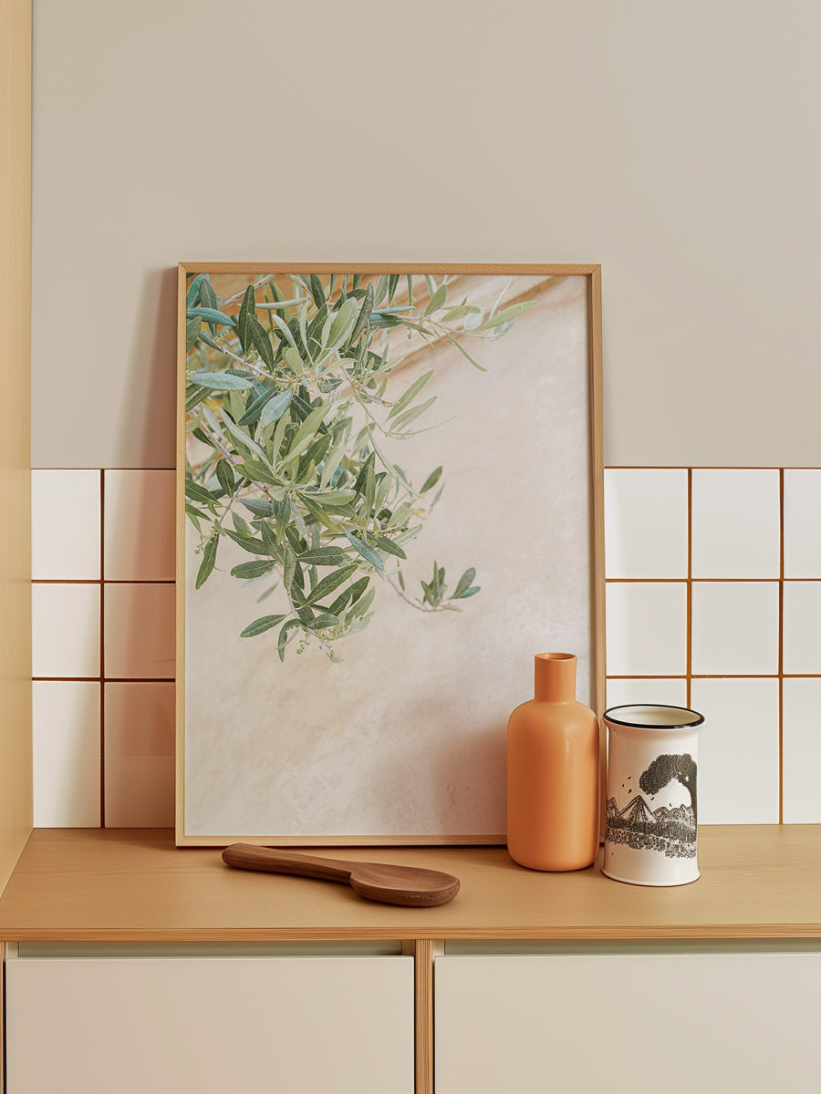 Olive Tree Leaves