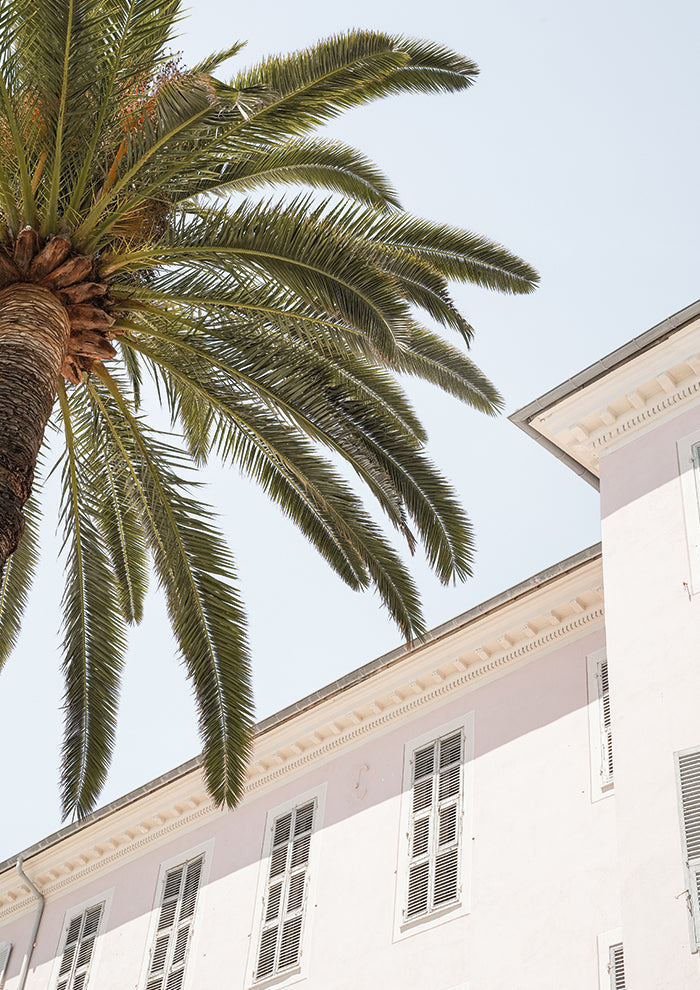 Tropical Menton