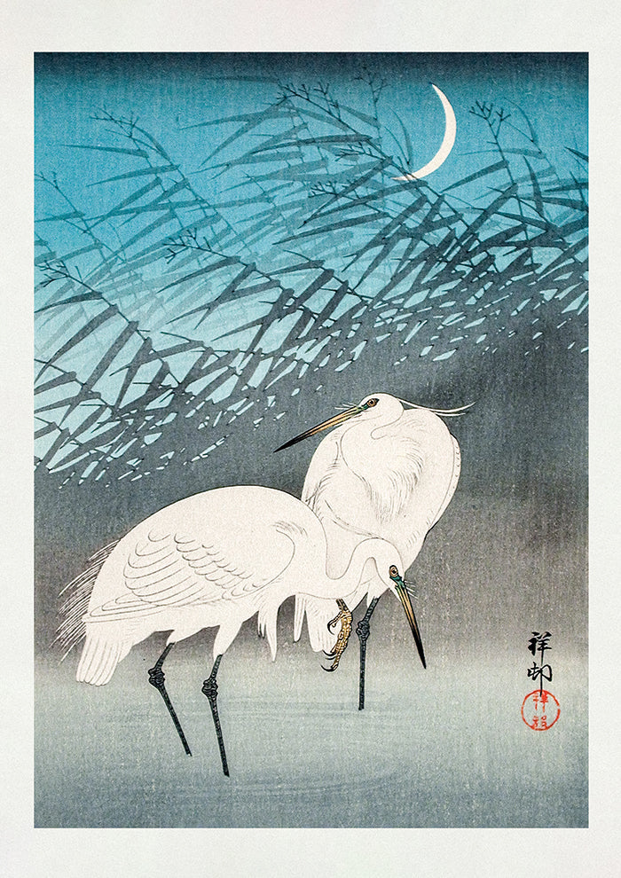 Egrets and Reeds In Moonlight