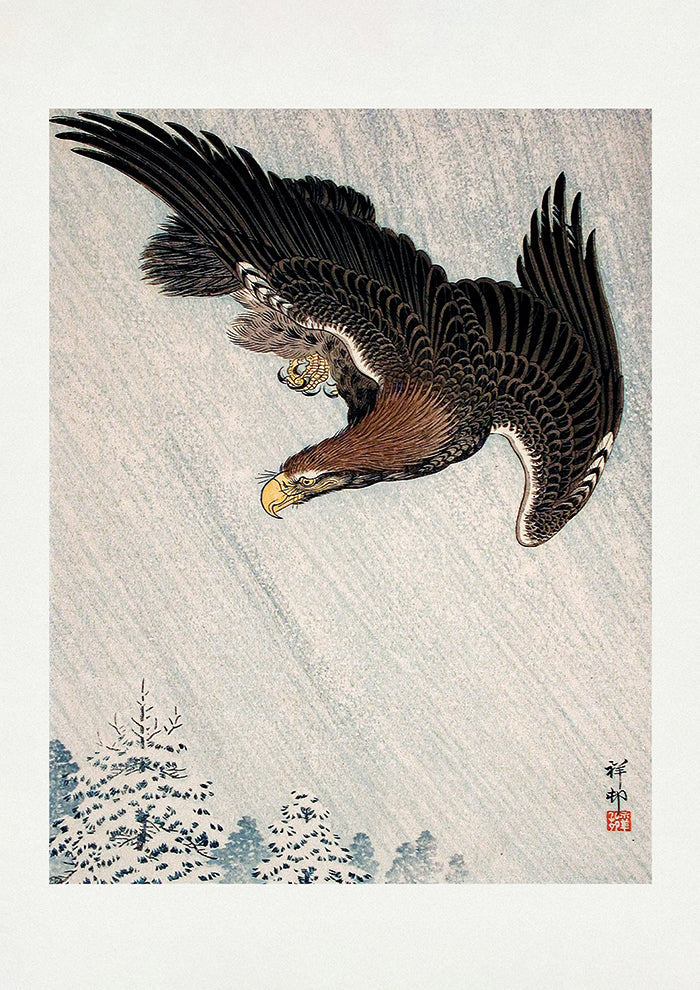 Eagle Flying In Snow