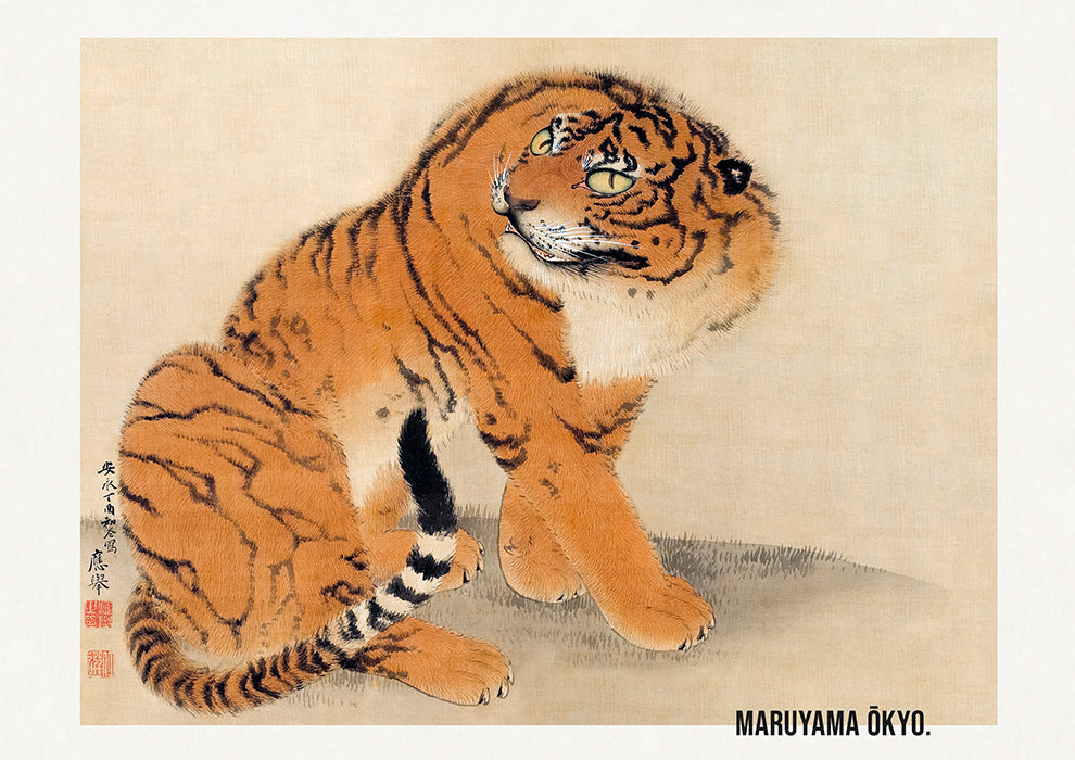 Sitting Tiger