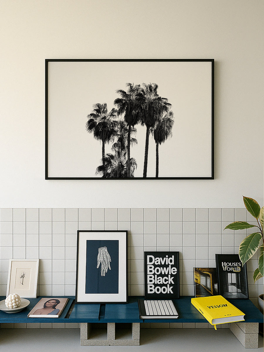 Elegant Silhouettes of Tall Palm Trees
