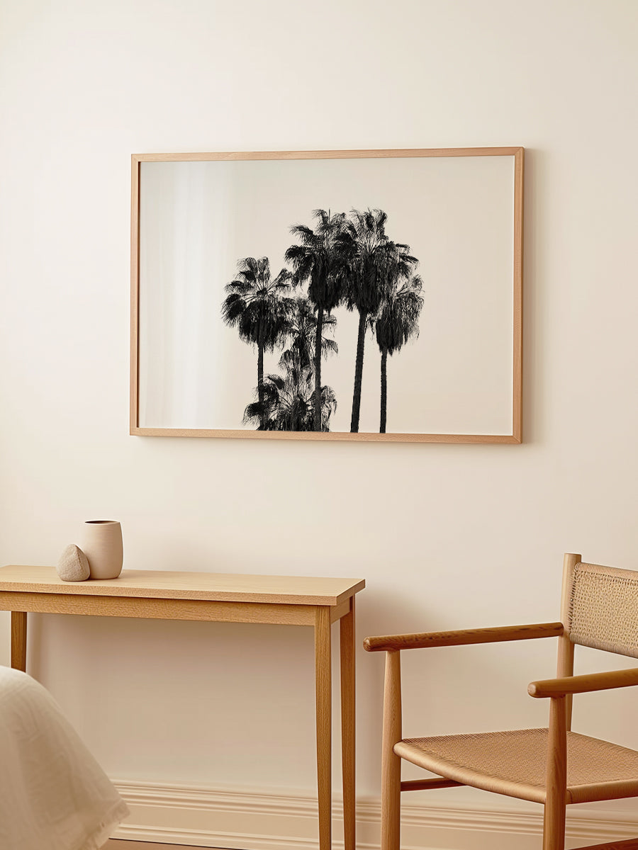 Elegant Silhouettes of Tall Palm Trees