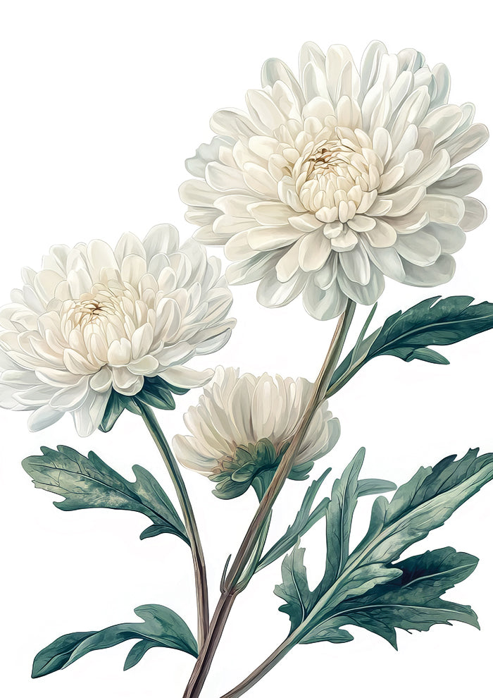 White Flower On White
