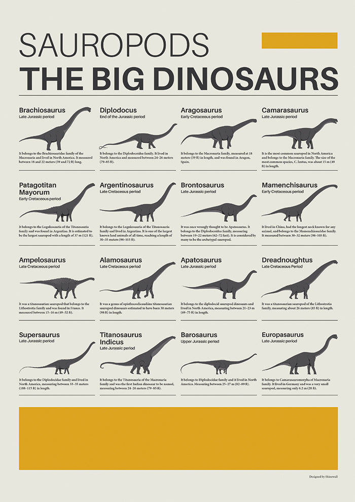 Dinosaurs Sauropods quide