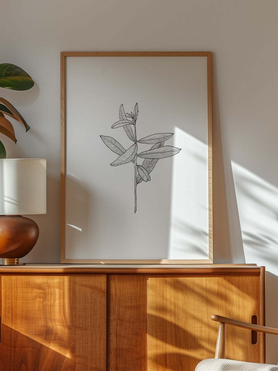 Delicate Leaf Sketch