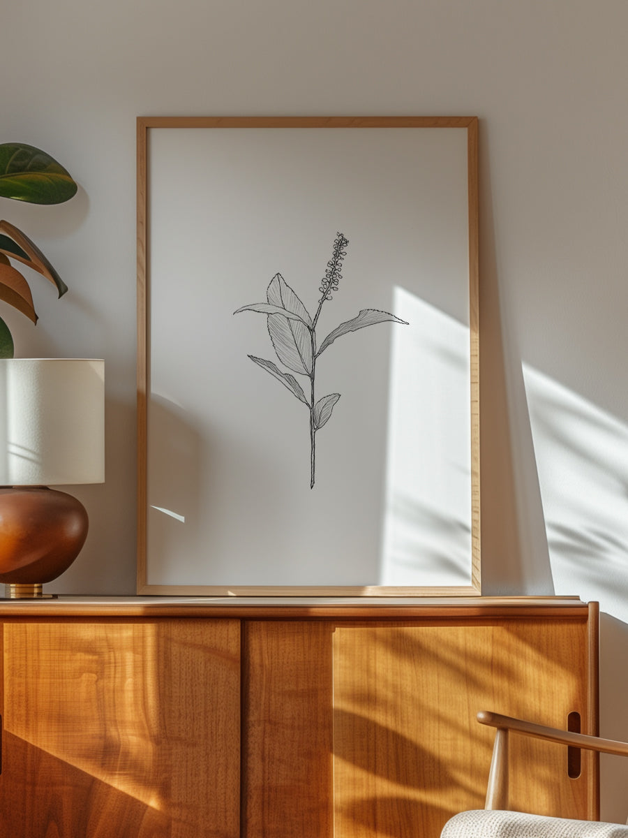Delicate Plant Sketch