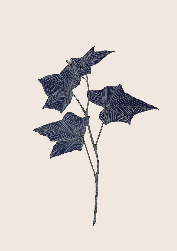 Navy Leaves Harmony