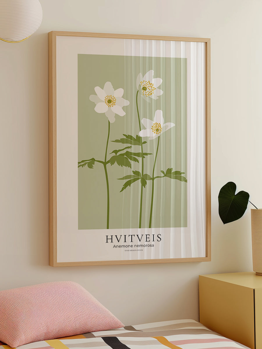 Hvitveis