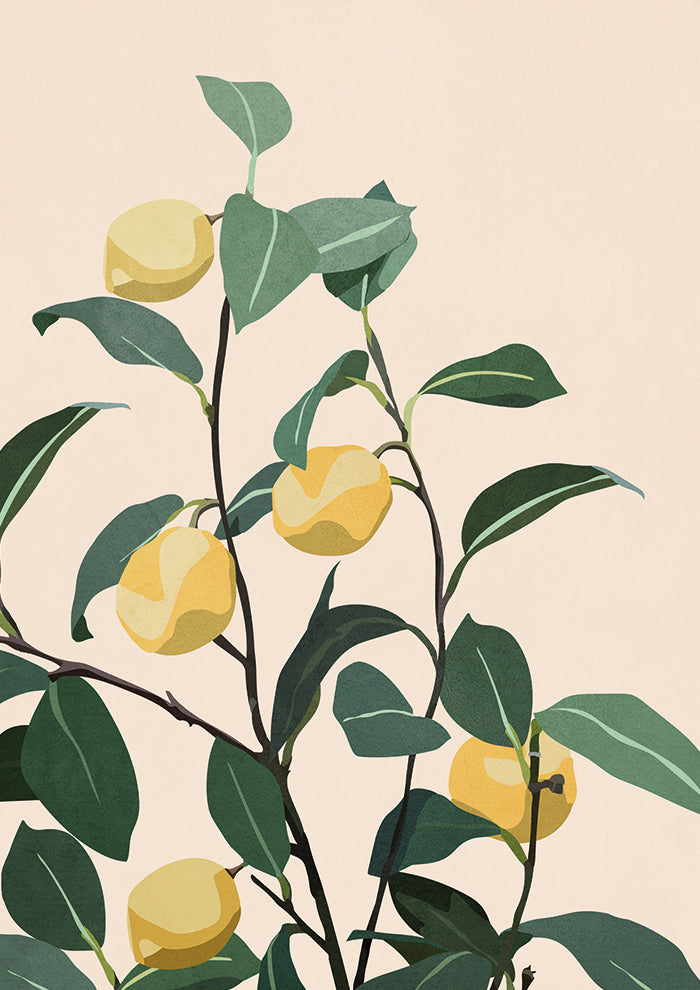 Citrus Serenity
