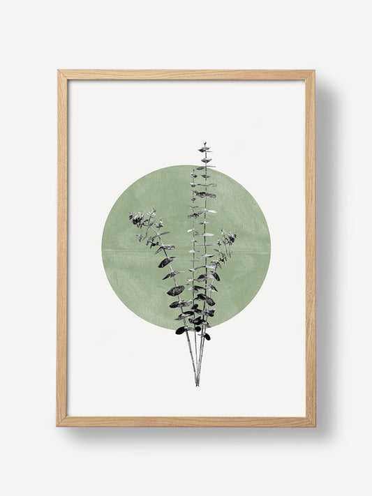 Eucalyptus and Green Moon