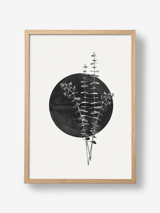 Plant and Black Sun