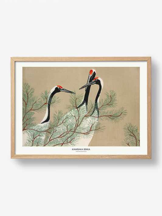Cranes From Momoyogusa