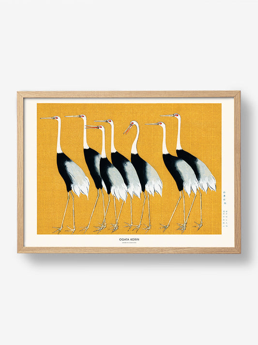 Japanese Red Crown Crane