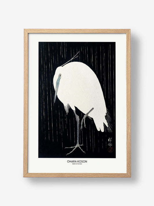 Egret In The Rain