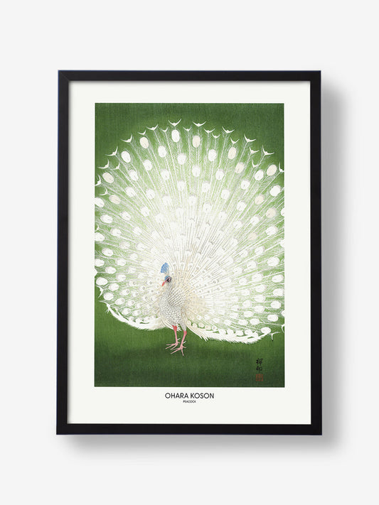 Peacock Cropped
