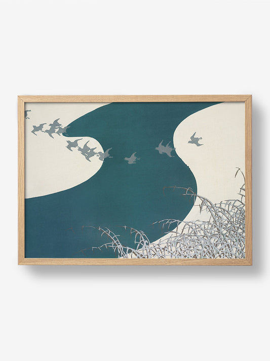 Birds From Momoyogusa
