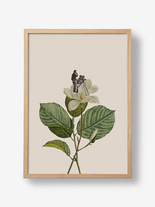 Botanical vintage cameraman