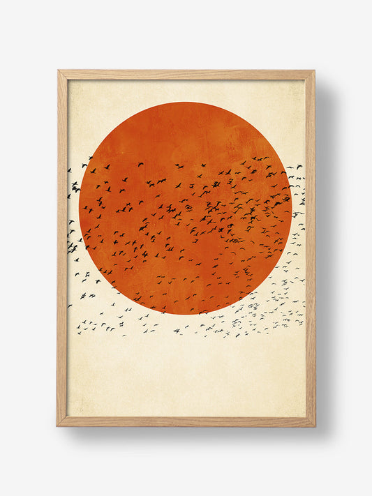 Birds In the Sun