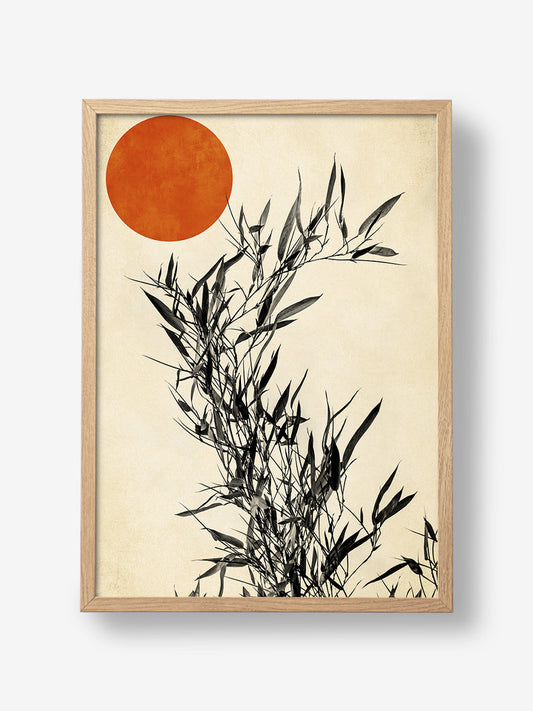 Japanese Birch