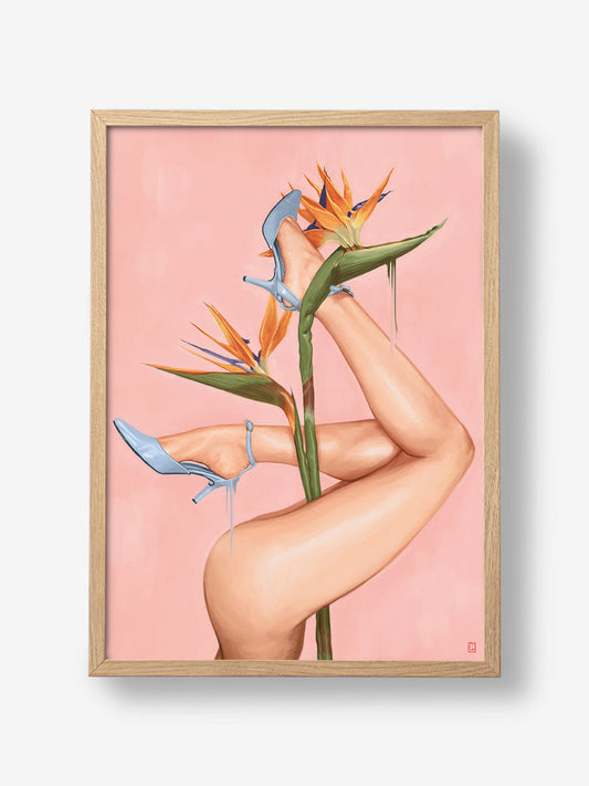 Bird of Paradise