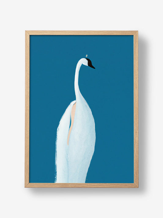 Swan Maybe