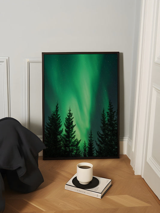 Northern Lights in the Woods