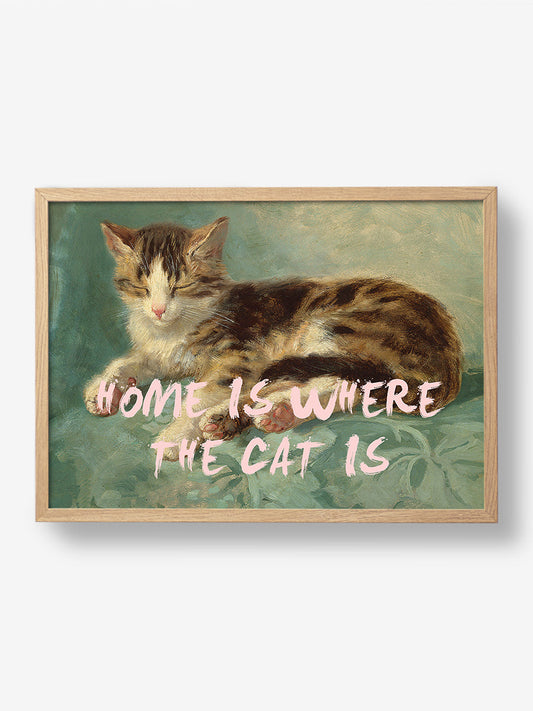 Home is where the cat is