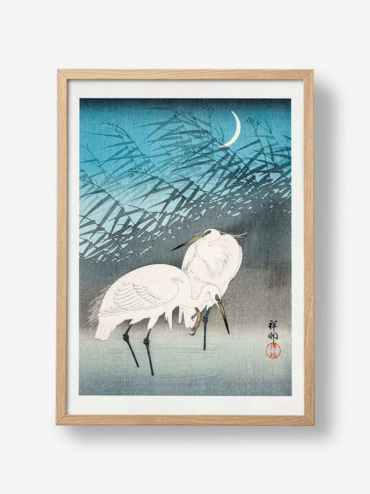 Egrets and Reeds In Moonlight