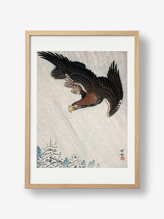 Eagle Flying In Snow