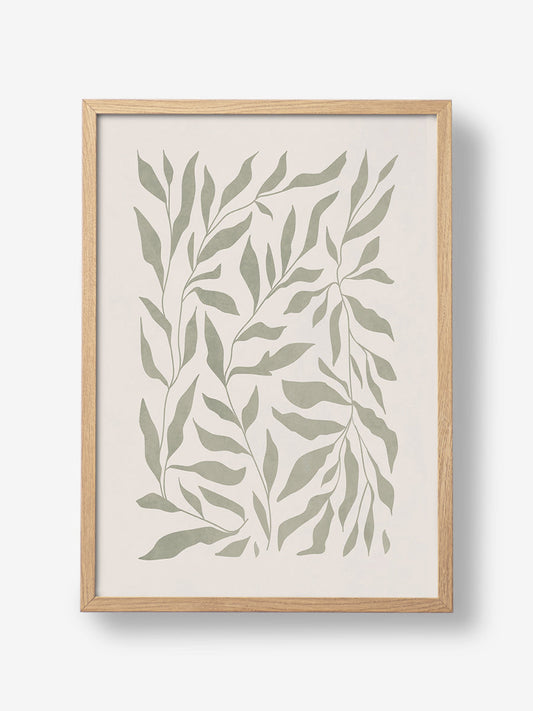 Olive Green Leaves