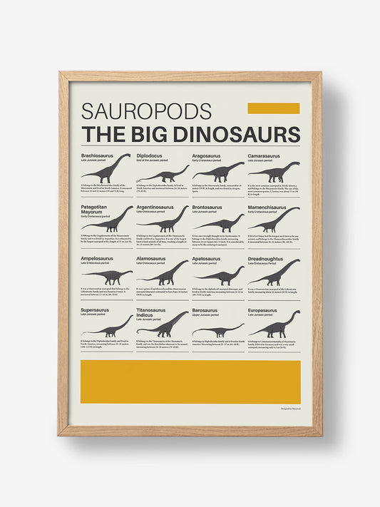 Dinosaurs Sauropods quide